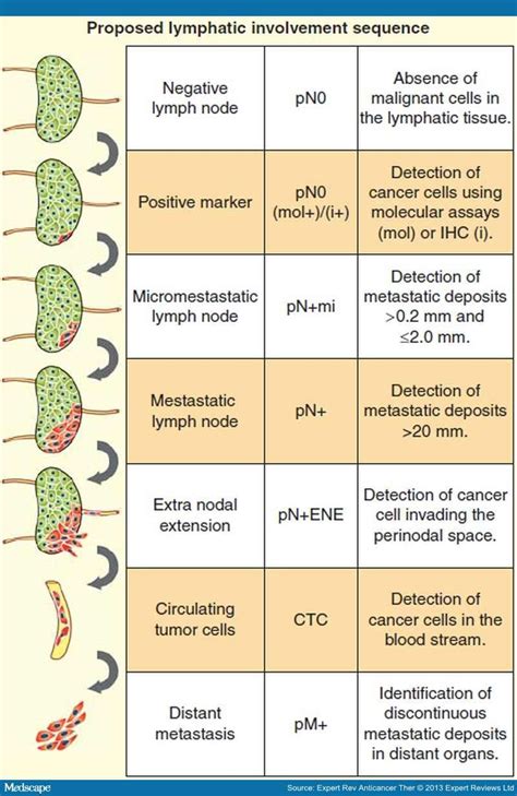 Lymph nodes cancer - tasteamateur