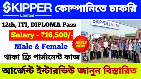 Skipper Company Job Skipper Limited Company Job Vacancy 2023 Job In