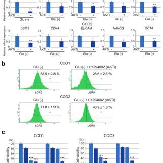 Expression Of Stem Cell Markers And Sensitivity To Gemcitabine In