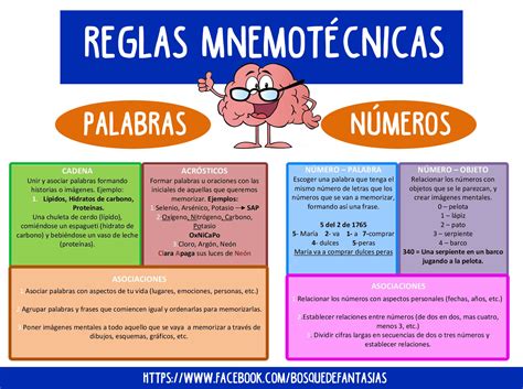 6 TÉCNICAS de ESTUDIO para niños REGLAS MNEMOTÉCNICAS