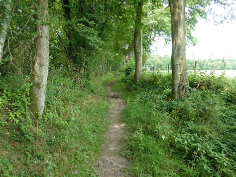 Bridleway On Northern Edge Of Goffs Dave Spicer Cc By Sa 2 0