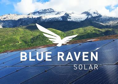 Blue Raven Solar Reviews By Real Customers