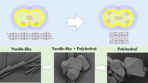 Manipulating Of Crystal Morphology And Polymorph By Crystallization In