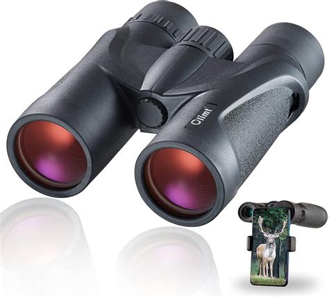 5 Best Binoculars For Birding Review Lightweight And Compact