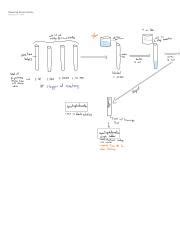 measuring enzyme activity flow chartpdf  hero