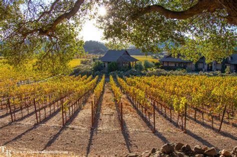 Fall colors in Napa Valley - A Photo Essay - Travel Realizations