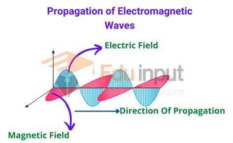 Why Is Electromagnetic Wave A Transverse Wave