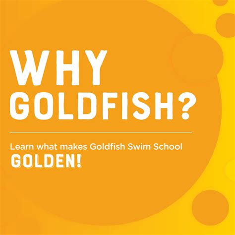 why is goldfish stressed step by step 4