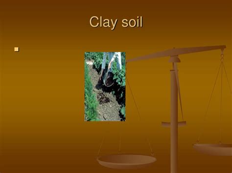 Ppt Types Of Soil Powerpoint Presentation Free Download Id6762476