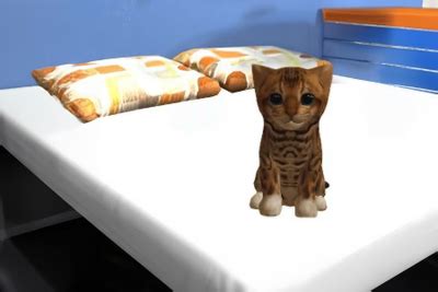 Play Cat Simulator Online – Simulation(Simulation) – GamesFrog.com