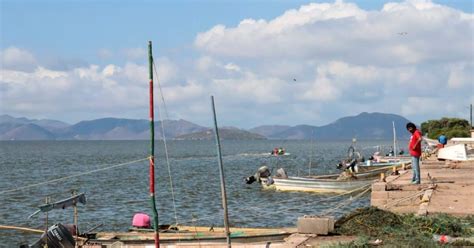 Alienta A Pescadores El Levantamiento De La Jaiba De Momento Solo