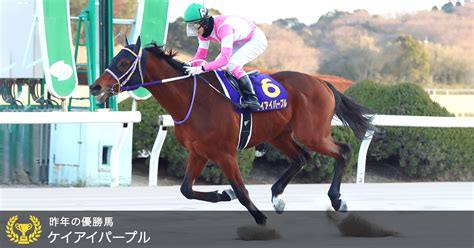 佐賀記念 Jpniii 2023｜特集おトク情報楽天競馬