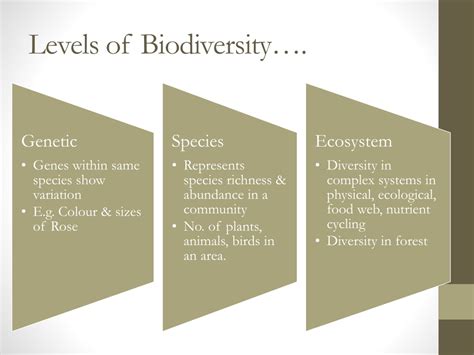 Ppt Biodiversity And Its Conservation Powerpoint Presentation Free Download Id 242033