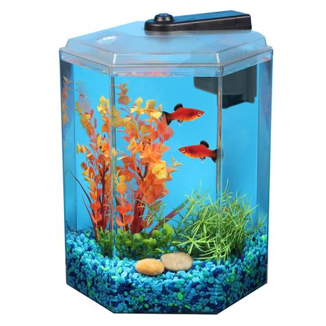 Imagitarium 1 7 Gallon Hexagonal Aquarium Petco Aquarium Fish Tank