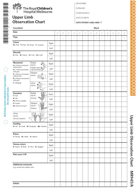 Clinical Guidelines Nursing Neurovascular Observations