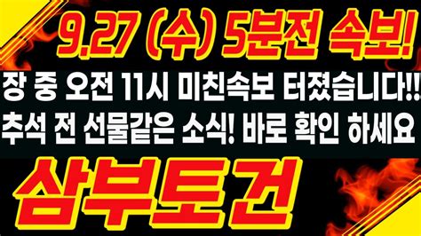 삼부토건 주가전망 🔥 5분전 속보 장 중 오전 11시 미친속보 터졌습니다 추석 전 선물같은 소식 바로 확인하세요