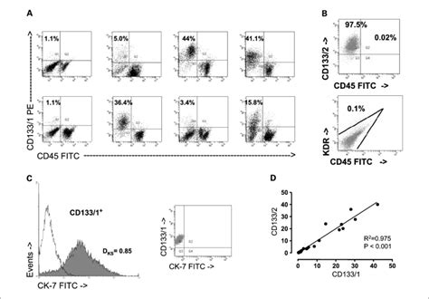 Characterization Of Cd133 Expressing Cells From Endometrial Tumors A