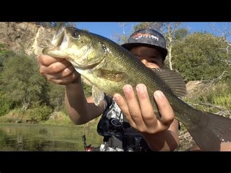 So Many Blowups On A TOPWATER FROG Kayak Fishing YouTube