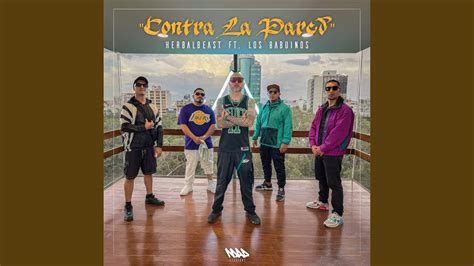 Contra La Pared Feat HerbalBeast Babuinos YouTube Music