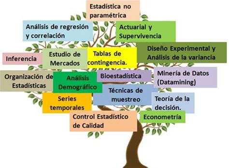 Cuáles son las ramas de la estadística Apolonio es