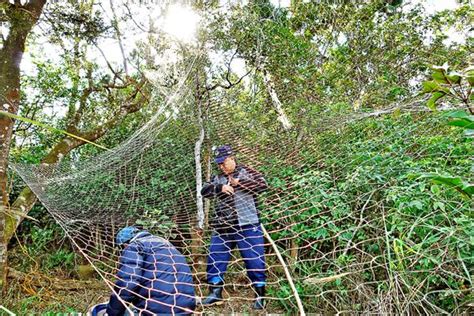 鳥網架設 架設網站 免費 Sbnget