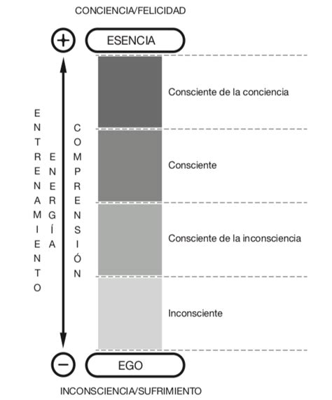 Los Cuatro Niveles De Consciencia Borja Vilaseca