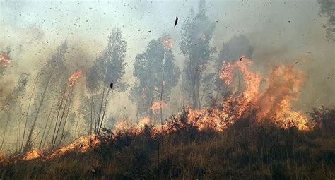 Incendio forestal amenaza casas y tierras de cultivo en La Convención