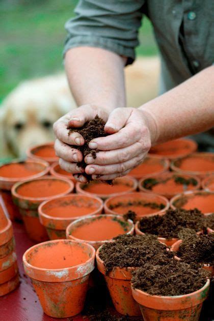 Basic Pruning Tips For A Beautiful Full And Lush Garden Artofit