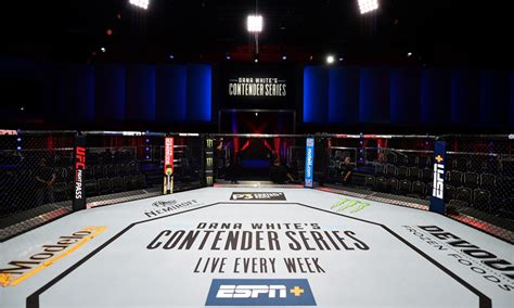 Dana Whites Contender Series Season 4 On Tap For August Relaunch