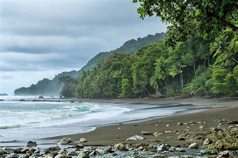 2023 Corcovado National Park One Day Tour Provided By Ivantours