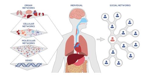 Recognizing The Patients Phenotype Through Systems Biology