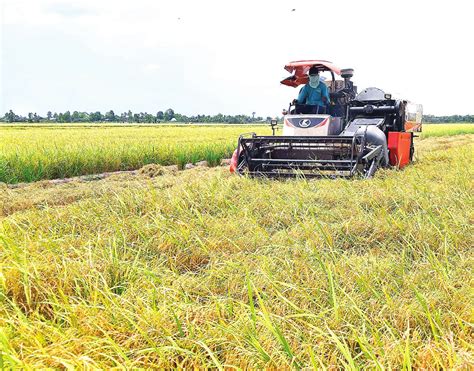 Bản Vẽ Máy Cày Lúa Tốt Nhất Năm Nhấn để Xem Ngay