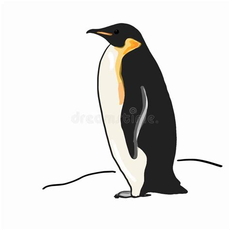 Realistic penguin drawing stock illustration. Illustration of baby ...