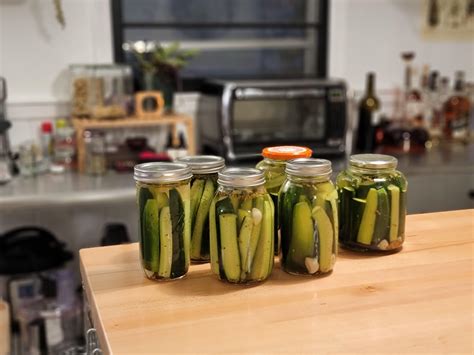 (OC) Homemade kosher pickles : r/FoodPorn