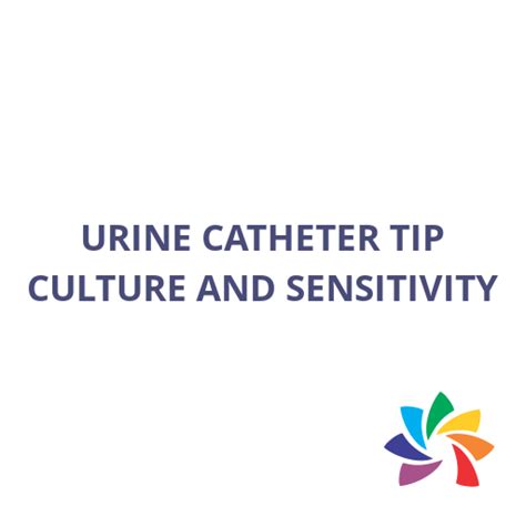 URINE CATHETER TIP CULTURE AND SENSITIVITY Lab Test in Bangalore - Trident Diagnostics