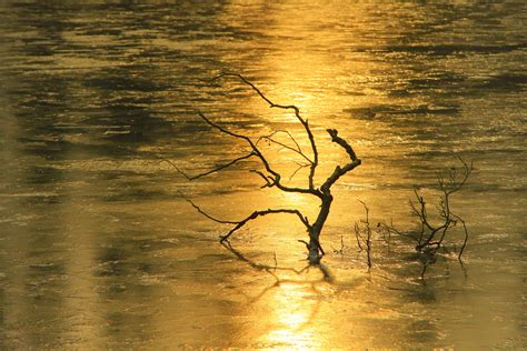 Fondos de pantalla luz de sol puesta de sol agua reflexión cielo