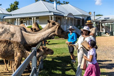 Animals and wildlife - Visit Brisbane