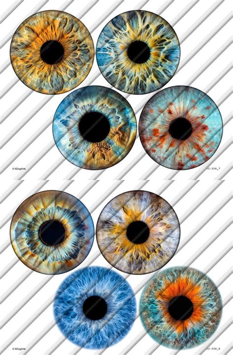 Realistic Printable Eye Iris Printable Word Searches