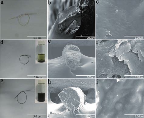 photographs   cellulose fiber mwcntcellulose fiber