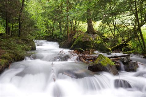 Fotos Gratis Naturaleza Bosque Cascada Arroyo Techo R O M Stico