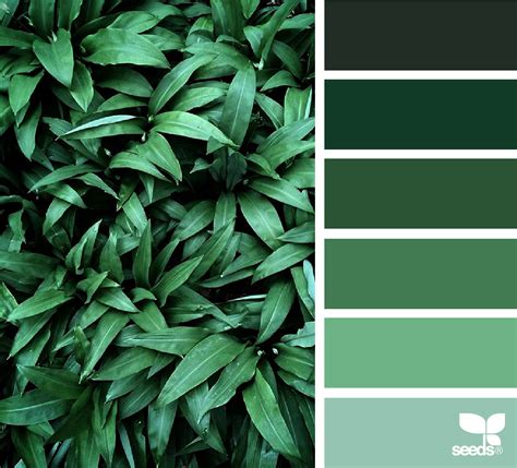 Color Nature Design Seeds Green Colour Palette Color Harmony