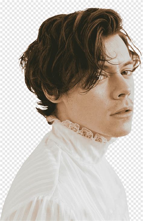 Harry Styles Harry Styles Png Pngegg