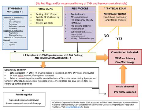 Cardiovascular Risk Assessment Toolkit And Algorithm Cardiovascular Disease Risk Assessment