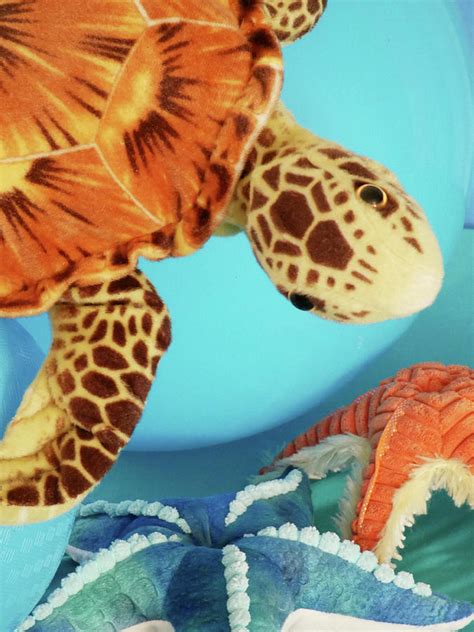 Sea LIfe Plush Toys and Bouncy Balls 2 Photograph by Scott Johnson ...