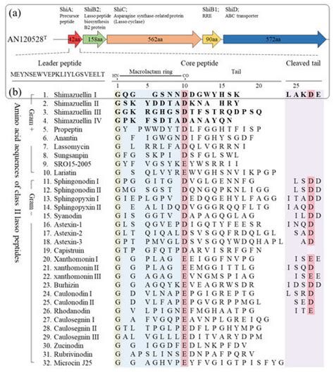 Bioengineering Free Full Text Genomic Insight Into Shimazuella Soli