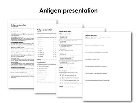 Antigen presentation | Made By Teachers