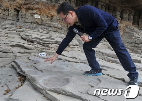 1억년 전 공룡발자국화석 네이트 뉴스