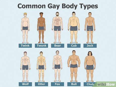 Gay Body Types Quiz What Category Are You