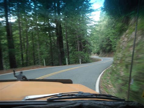 THE ROAD TAKEN : Avenue of the Giants: Humboldt Redwoods State Park Auto Tour