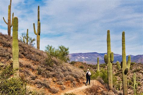 The Best Places To Visit In Phoenix Must See Attractions